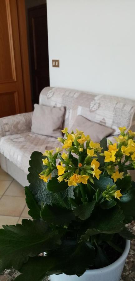 Al Portec Vezzano  Esterno foto