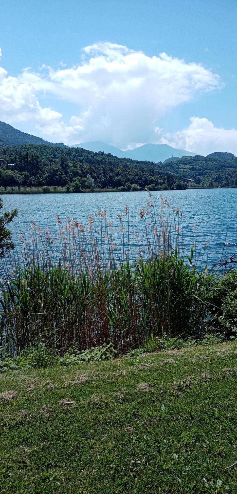 Al Portec Vezzano  Esterno foto